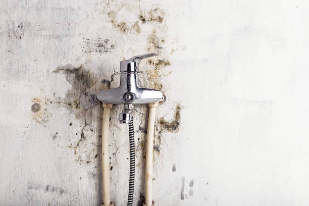 Croton On Hudson, NY Mold Removal Company