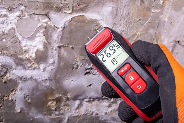 Best Professional Mold Removal  in Croton On Hudson, NY