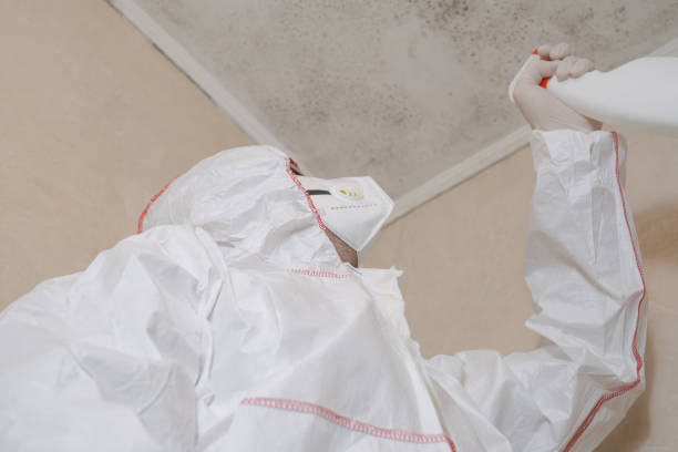 Best Office Mold Removal Services  in Croton On Hudson, NY